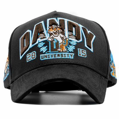 Dandy hats University Drop USA