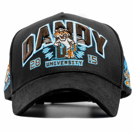 Dandy hats University Drop USA